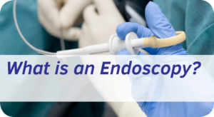 Exeter Gut Clinic What is an Endoscopy Procedure Exeter cta