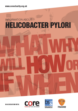 core information about Helicobacter Pylori leaflet download as a pdf